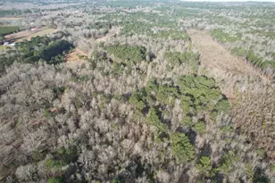 Tbd County Road 3659, Queen City, TX 75572 - Photo 4