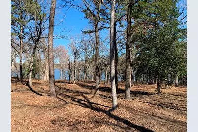 3266 Shadow Pine Drive, LaRue, TX 75770 - Photo 4