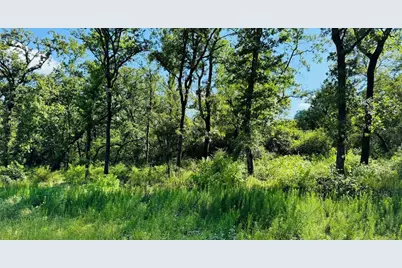 Tbd Tract 10 County Road 2925, Buffalo, TX 75831 - Photo 4