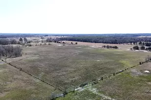 Tract 2 County Road 4878, Winnsboro, TX 75494 - Photo 10