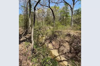 1255 Eagles Bluff Drive, Weatherford, TX 76087 - Photo 18