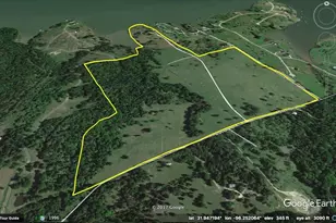 14604 SE County Rd 2370, Streetman, TX 75859 - Photo 36