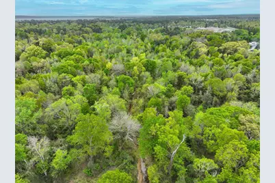 Tbd County Road 3105, Chandler, TX 75758 - Photo 12