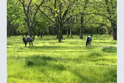 11320 County Road 528, Mansfield, TX 76063 - Photo 10