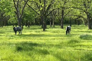 11320 County Rd 528, Mansfield, TX 76063 - Photo 10