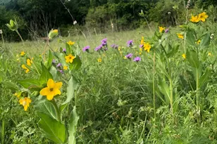 5227 E FM 875, Waxahachie, TX 75167 - Photo 32