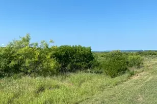 Lot 203 Evening Primrose Dr, Possum Kingdom Lake, TX 76449 - Photo 1