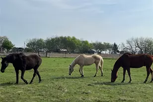 4605 Co Rd 4511, Commerce, TX 75428 - Photo 1