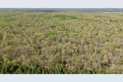 909 Fm, Bogata, TX 75417 - Photo 6