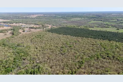 909 Fm, Bogata, TX 75417 - Photo 8