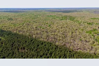 909 Fm, Bogata, TX 75417 - Photo 10