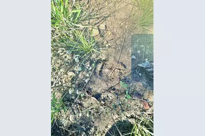 Lot 26 Ava Grace Lane, Dublin, TX 76446 - Photo 18