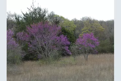 Tbd Dye Mound Road, Forestburg, TX 76239 - Photo 10