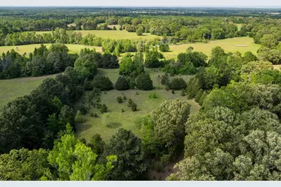 4605 County Road 3800, Athens, TX 75752 - Photo 10