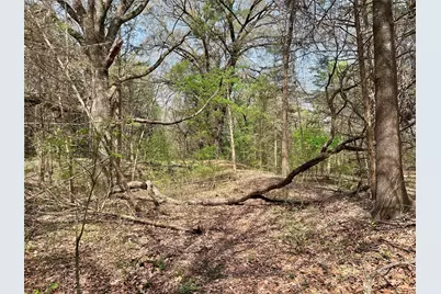 Tbd Fm 2645, Ector, TX 75439 - Photo 8