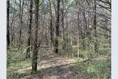 Tbd Fm 2645, Ector, TX 75439 - Photo 20