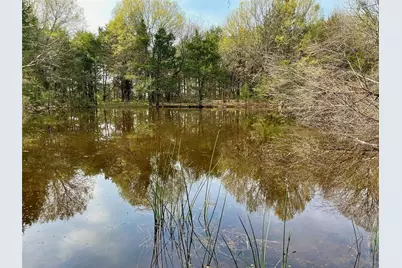 Tbd Fm 2645, Ector, TX 75439 - Photo 18