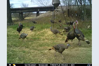 3061 Turkey Creek Road, Sunset, TX 76270 - Photo 24