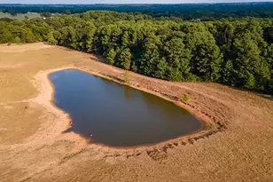 0 W Fm 344, Bullard, TX 75757 - Photo 6