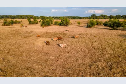 00 W Fm 344, Bullard, TX 75757 - Photo 6