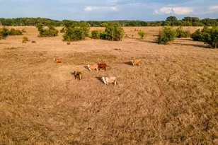 00 W Fm 344, Bullard, TX 75757 - Photo 6