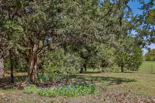 239 Co Rd 118, Whitesboro, TX 76273 - Photo 16