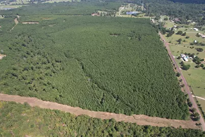 Tbd-L Lincoln Springs Rd, Gladewater, TX 75647 - Photo 6