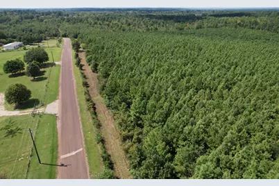 Tbd-L Lincoln Springs Rd, Gladewater, TX 75647 - Photo 4