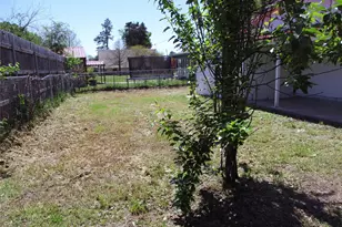 291 Skyline Dr, Emory, TX 75440 - Photo 10