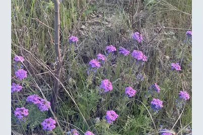 Lot616 Caprock Court, Possum Kingdom Lake, TX 76449 - Photo 16