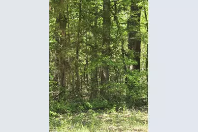 Tbd County Road 421, Tyler, TX 75704 - Photo 4