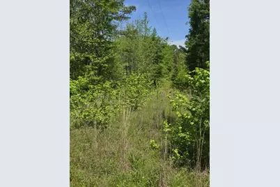 Tbd County Road 421, Tyler, TX 75704 - Photo 1