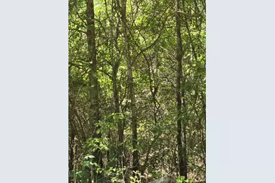 Tbd County Road 421, Tyler, TX 75704 - Photo 6