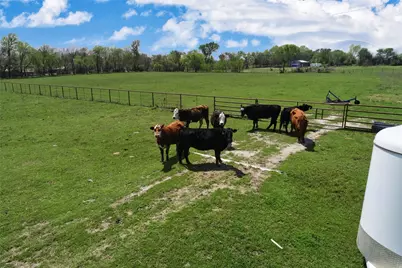 0000 County Road 5040, Leonard, TX 75452 - Photo 34