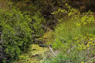 104 W Stagecoach Trl, Weatherford, TX 76085 - Photo 1