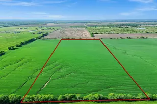 24Ac Airport Rd, Tioga, TX 76271 - Photo 1