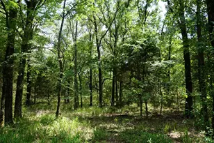01 Cr-1403, Malakoff, TX 75148 - Photo 26