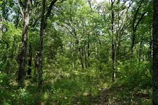 01 Cr-1403, Malakoff, TX 75148 - Photo 6