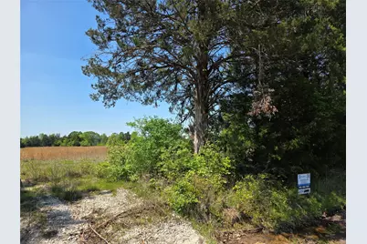 0000 Cr-4240, Simms, TX 75574 - Photo 8