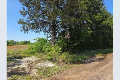 0000 Cr-4240, Simms, TX 75574 - Photo 4