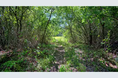 Tbd Cr-1861, Chico, TX 76431 - Photo 4