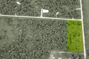 Tract 4 - Tbd SW County Road 2397, Wortham, TX 76693 - Photo 1