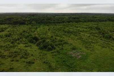 Lot 6 Rains County Rd 2610, Alba, TX 75410 - Photo 8