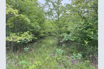 Lot 25 Rains County Road 2610, Alba, TX 75410 - Photo 10