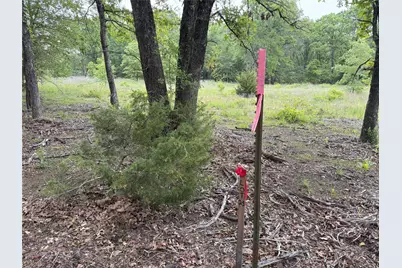 Lot 25 Rains County Road 2610, Alba, TX 75410 - Photo 12