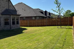 302 Mercer Dr, Josephine, TX 75173 - Photo 16