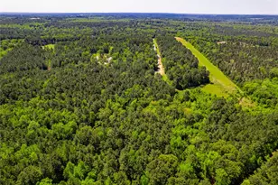 458 Cherokee Cove Dr, Jacksonville, TX 75766 - Photo 40