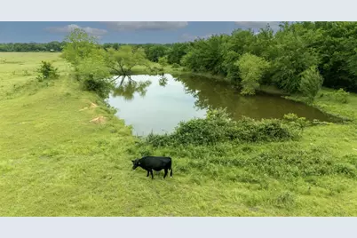 Tbd County Road 2307, Sulphur Springs, TX 75482 - Photo 8