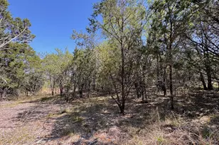 1036 Creek Crossing Rd, Glen Rose, TX 76070 - Photo 6