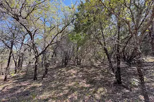 1036 Creek Crossing Rd, Glen Rose, TX 76070 - Photo 8